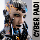 Cyber Padi