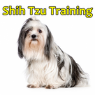 Shih Tzu Training