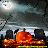 Halloween Info