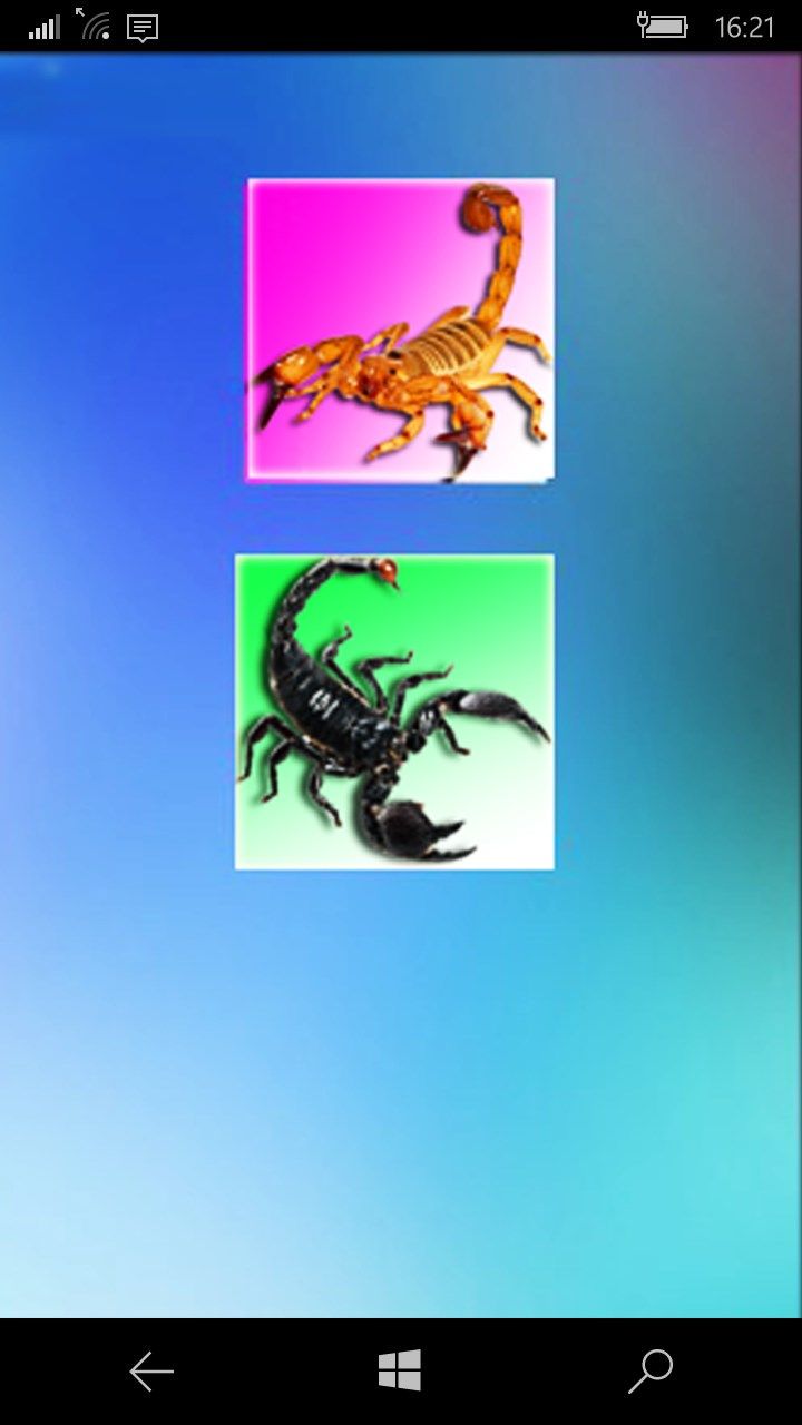 Scorpion On Hand Screen Photo