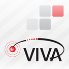 Viva Webinar Player