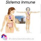 Sistema Inmune (HTML5-Canvas)