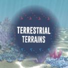 Terrestrial Terrains
