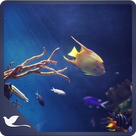 Calm Aquarium - Meditate with Fishes