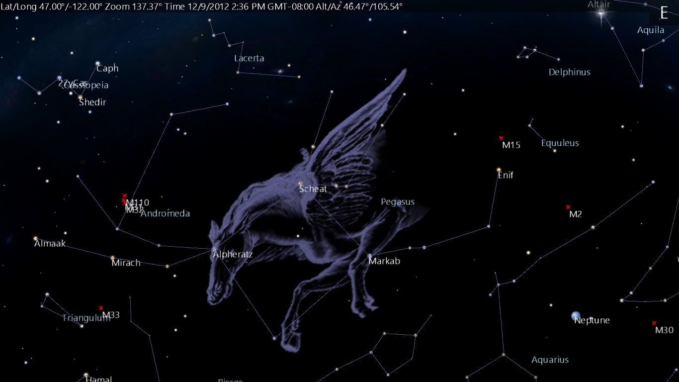 Pegasus constellation