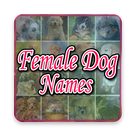 Female Dog Names