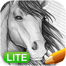 How to Draw Horses: Lite Edition