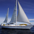 Sailing Basics Guide & Prep