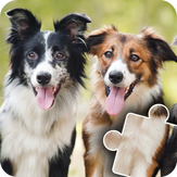 Fun Cats & Dogs Jigsaw Puzzles for kids and toddlers - Free Edition - Fun and Educational Jigsaw Puzzle Game for Kids and Preschool Toddlers, Boys and Girls 2, 3, 4, or 5 Years Old