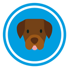 Dogstat - Phrases for your pet to share