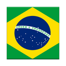 Beginner Brazilian
