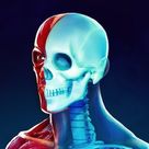Anatomy Essentials - Medical Encyclopedia