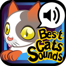 Best Cats Sounds