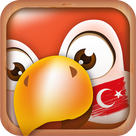 Learn Turkish Free - Phrases & Vocabulary for Travel, Study & Live in Turkey