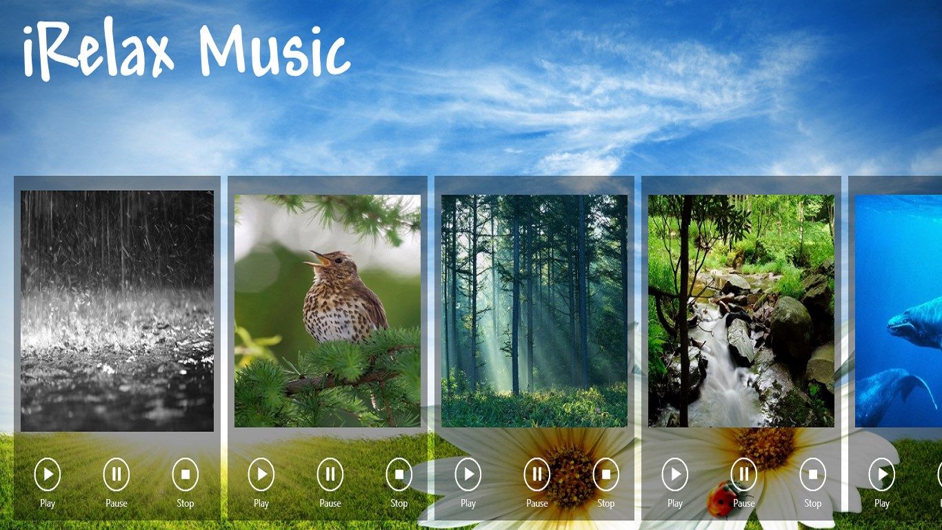 Main page Music Rain,Bird songs,Rain-forest,Water flow