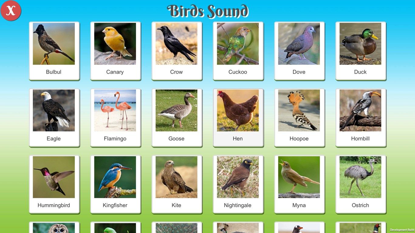 Animal & Bird Sound