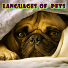 Languages of Pets