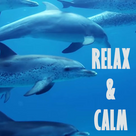 Relax & Calm Music for Meditation & Sleep