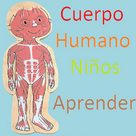 Human Body Spanish