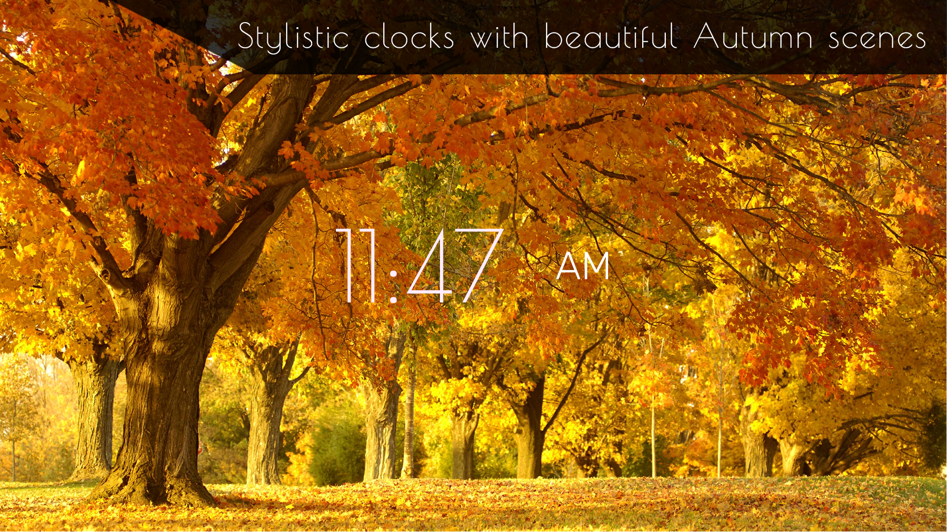 Autumn Clock HD