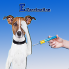 eVaccination Card Of Pet