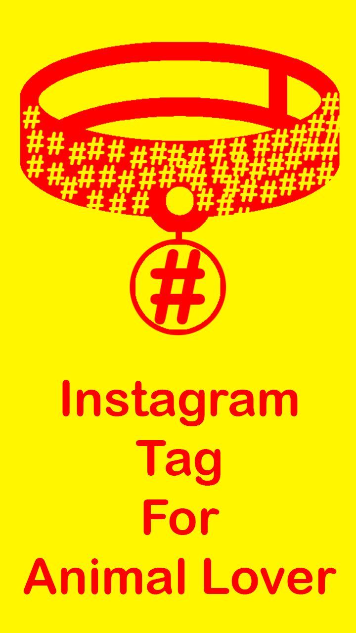Top Best Hashtag for Animal and Pet Lover for Instagram, Twitter, Facebook and Pinterest User