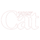 Your Cat