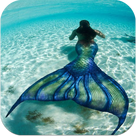 Aquarium N Mermaid Training