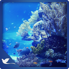 Bluish Fresh Aquarium - Underwater Sea Life