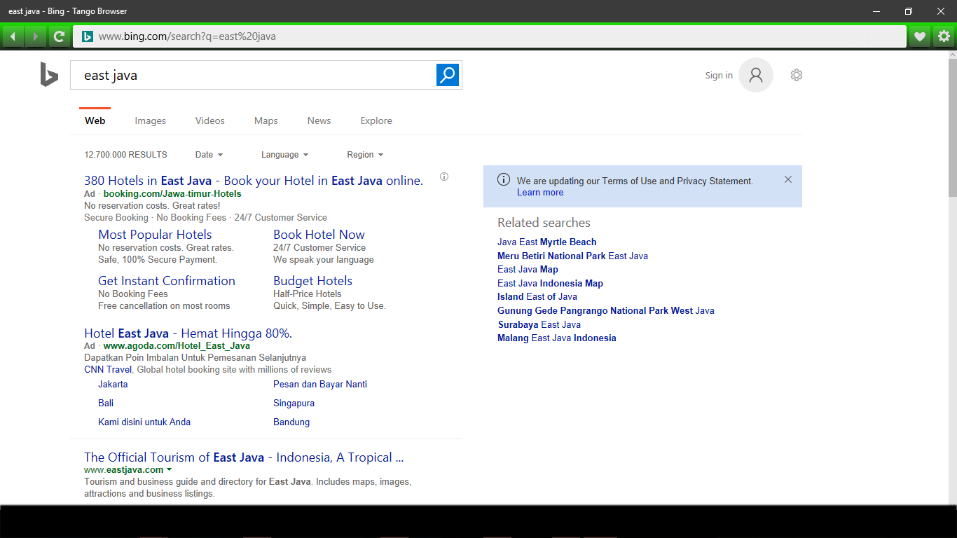 Bing column, it has a function to search the words by using basic Bing engine search.
