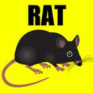 Rat Sounds Rat Sound Effects