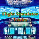 Flight Simulator Tricks