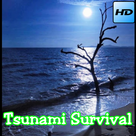 Tsunami Survival