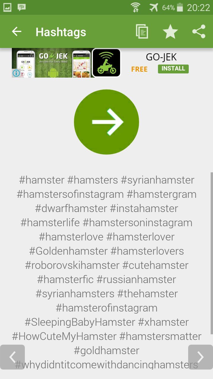 Top Best Hashtag for Animal and Pet Lover for Instagram, Twitter, Facebook and Pinterest User