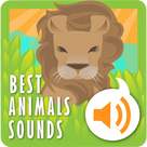 Best Animal Sounds