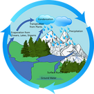 Water Cycle!