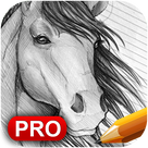 How to Draw Horses: Pro Edition
