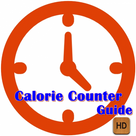 Calorie Counter Guide