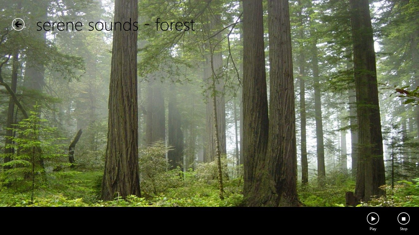 forest sounds, actual screenshot of one of the sounds available