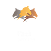 ParelliSavvyClub