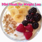 Mini Meals for Weight Loss