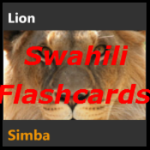 SwahiliFlashcards