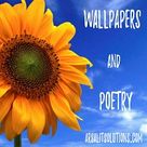 Wallpapers Poetry