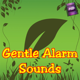 Gentle Alarm Sounds