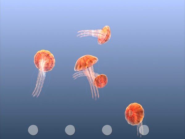 Jellyfish Chrysaora screenshot