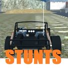 Stunt Driver-Buggy Stunt Survivor