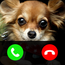 Fake call from dog