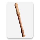 Flute Player Instrument Music