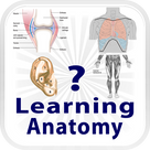Learning Anatomy Quiz