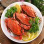 70 Free Seafood Recipes